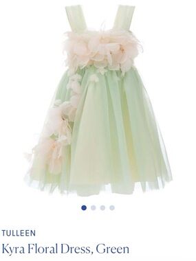 Tulle Kyra Floral Green Tulle Dress for Girls